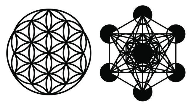 Geometric floral ornament with intersecting circles black vector illustration