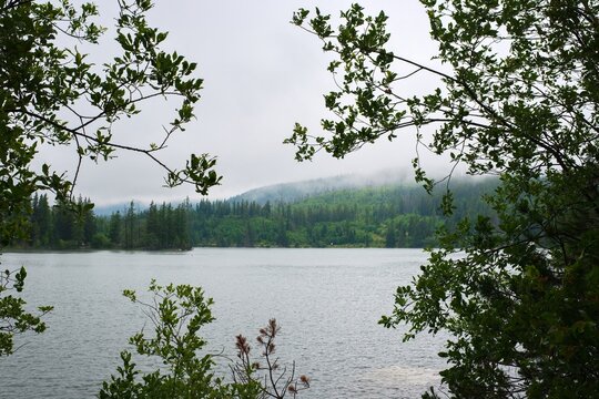 A peaceful landscape of &Scaron;trbsk&eacute; Pleso lake in the High Tatras, Slovakia, framed by lush green trees and overlooking mist-covered mountain slopes. Calm waters, dense evergreen forest, and low clouds cr