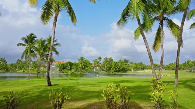 Dominican green golf course with pond and cloudy sky. Palm trees and grassy lawn on a sunny day. Tropical park for active outdoor recreation. A luxurious lifestyle.