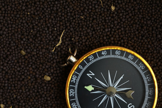 Compass on Mustard Seeds: Navigating Culinary Paths with Precision and Adventure