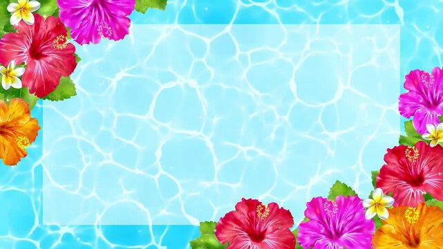 Sea and hibiscus flowers.Tropical frame background in summer.Watercolor animation loop video. ハイビスカス　海　フレーム　枠　CG 動画　キラキラ　爽やか　おしゃれ　タイトル　お中元　暑中見舞い