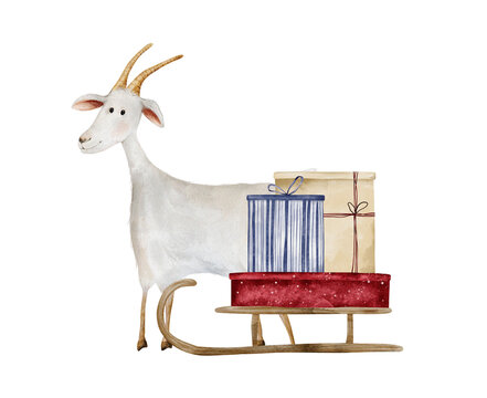 Watercolor illustration of white goat and wooden sled carrying colorful gifts. Christmas Goats for holiday cards, banners and invitations. Hand drawn scandinavian traditions related to "Yule Goat"