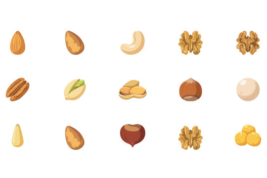 Assorted edible nut varieties including almond cashew walnut pecan pistachio hazelnut and pine nut for healthy snacking and culinary ingredients