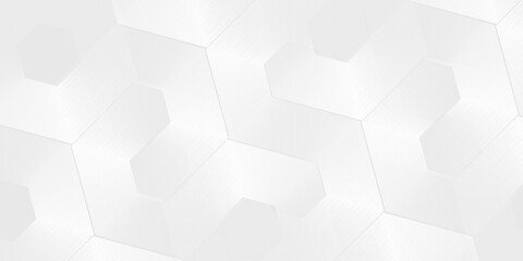 Fototapeta premium Hexagon abstract white gray wave light technology texture background simple abstract design vector