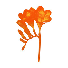 Obraz premium PNG Orange floral silhouette on white.