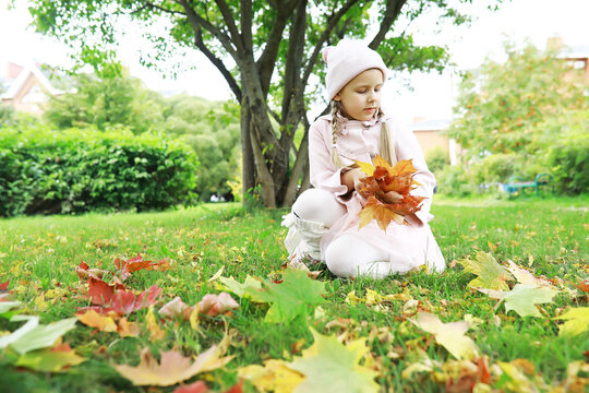Young Girl Collecting Autumn Leaves in Scenic Park Setting