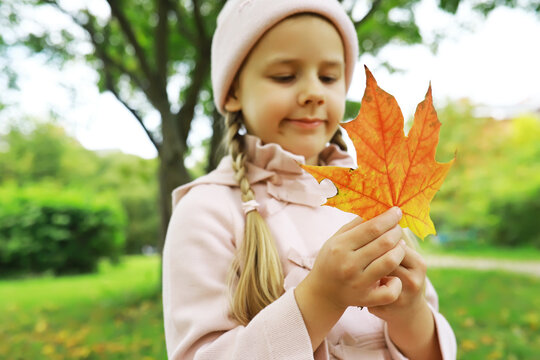 Child in Pink Jacket Holding Autumn Leaf in Vibrant Park Landscape