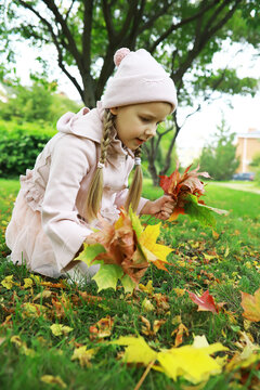 Young Girl Collecting Colorful Autumn Leaves in a Park