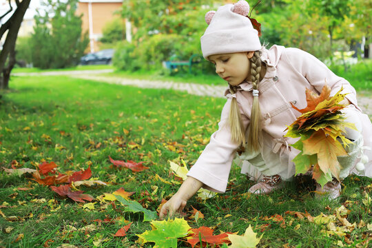 Child Collecting Colorful Autumn Leaves in a Park Setting During Fall Season