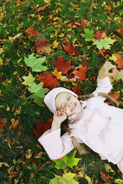 Joyful Child Enjoying Autumn Leaves in Cozy Outdoor Setting