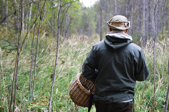Man Foraging in Autumn Forest with Basket and Outdoor Gear