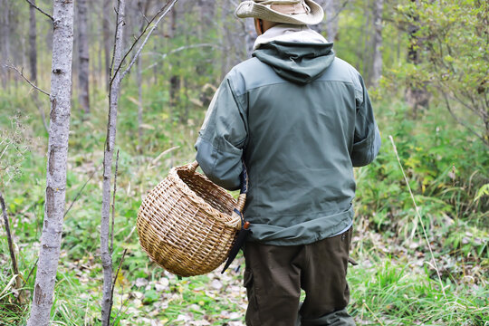 Forager in Woodland Carrying Woven Basket on Nature Expedition