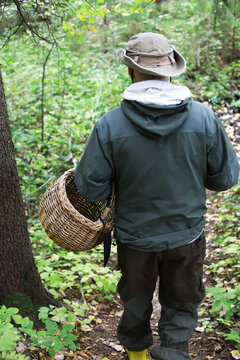 Mushroom Forager in Woodland Adventure with Basket in Forest