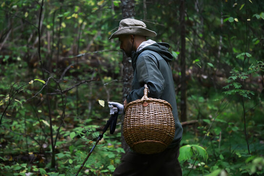 Man Foraging in Forest with Basket During Outdoor Wilderness Adventure