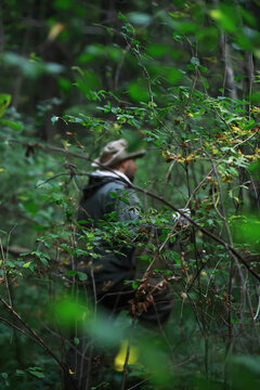 Explorer in Dense Forest: Man in Nature Surrounded by Lush Greenery