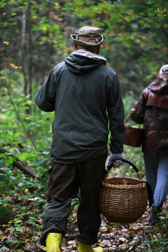 Mushroom Foraging Adventure: People Exploring Forest in Autumn with Wicker Basket