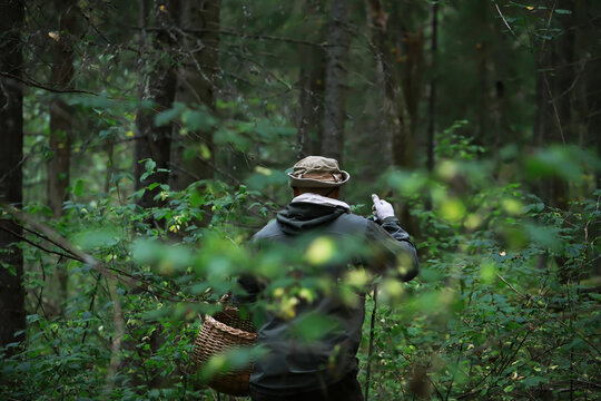 Man Foraging in Lush Forest with Wicker Basket and Outdoor Gear