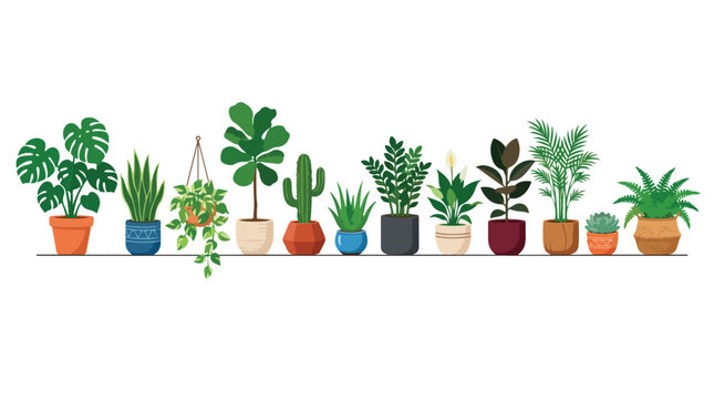 Modern indoor houseplant collection, flat vector set of 13 potted plants, monstera and fiddle leaf fig in ceramic pots, urban jungle home decor elements