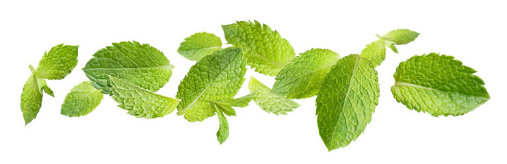 Aromatic green mint leaves in motion, isolated on transparent cutout background © Yeti Studio