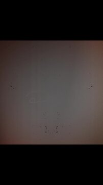 Authentic 8mm Film Texture, Flickering Vintage Frames and Scratches for Retro Cinema Projects. Vintage 8mm Film Blinking Frame Overlay for Creating Authentic Retro Cinematic Aesthetics 4k video
