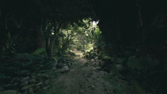 Shadowed cave tunnel leading to clearing, damp stone floor scattered with pebbles, mosslined walls and soft beams filtering into bright sunlit opening, intimate