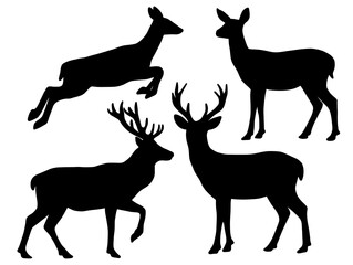 Deer Silhouette Collection with Stag and Doe Vector Set. Black Deer Silhouette Bundle with Standing and Running Deer. Wild Deer and Antlered Stag Silhouette Clipart Collection.  © rahayu