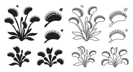 Venus Flytrap Plants With Insects Black Silhouette © MD