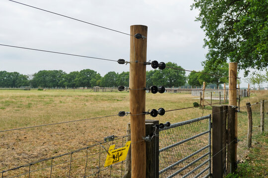 Electric fence designed to protect cattle from wolves and other predators in The Netherlands