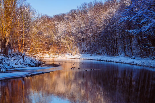 Snowy winter forest river with ducks at sunrise