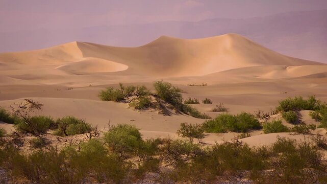 Beautiful shot of sand dunes in death valley