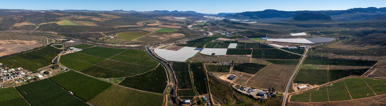 Panoramic view of the citrus and rooibos tea-producing areas of Clanwilliam in the Western Cape, South Africa.