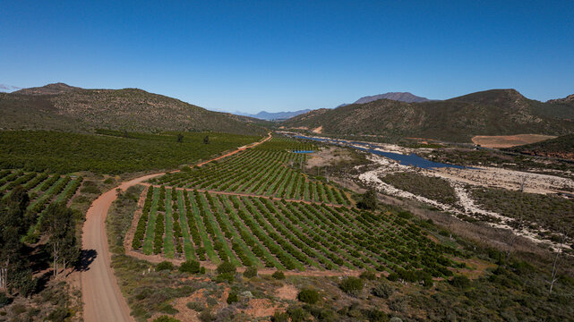 Aerial view of the citrus and rooibos tea-producing areas between Clanwilliam and Citrusdal in the Western Cape, South Africa.