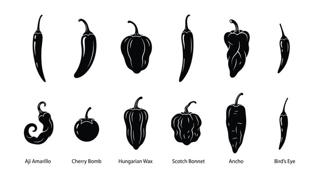 Black and White Illustrations of Various Types of Chili Peppers Labeled