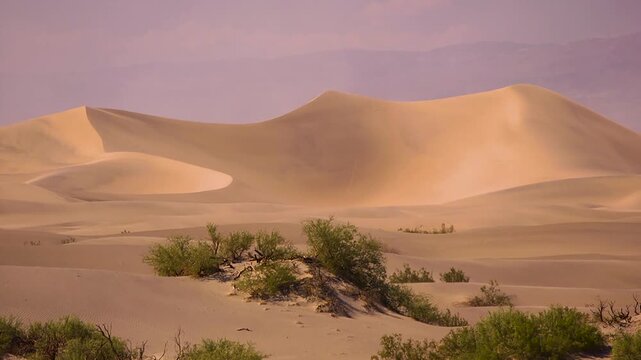 Close up of yellow sand dunes in Death Valley CA