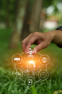 light bulb on green grass lawn with eco friendly clean energy icon graphics representing sustainable innovation concept.