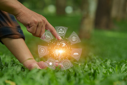light bulb on green grass lawn with eco friendly clean energy icon graphics representing sustainable innovation concept.