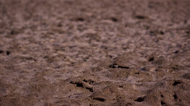 Close up rack focus on dried muddy lake bed in Death Valley