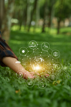 light bulb on green grass lawn with eco friendly clean energy icon graphics representing sustainable innovation concept.