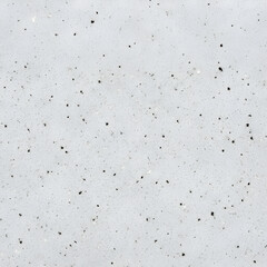 Naklejka premium White quartz stone texture background, polished light gray terrazzo surface with fine black speckles for modern interior design and kitchen countertops