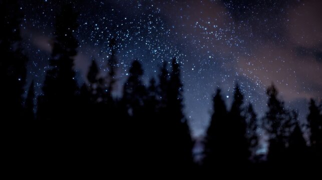 Night sky filled with stars above dark tree silhouettes in a rural area