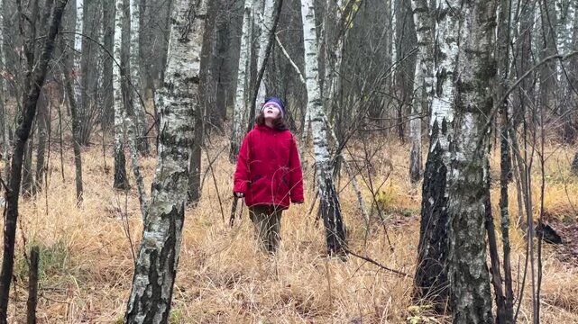 A girl is walking through a magical autumn birch forest. 