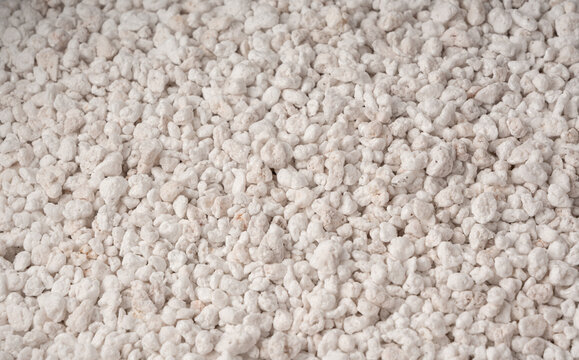 Perlite textured background, crushed amorphous volcanic glass close up