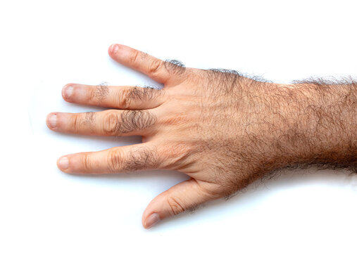 Hairy human skin, close view of male arm or leg, body hair, natural fur pattern
