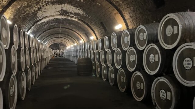Long underground wine cellar with rows of oak barrels stacked along both sides of stone tunnel walls, lit by warm lamps and shown from centered viewpoint with strong depth, moody stillness