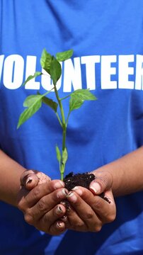 Volunteer holding young plant for reforestation project
