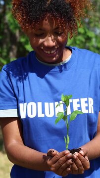 Volunteer holding green sapling for reforestation