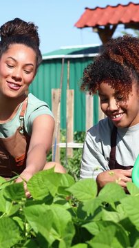 Two female farmers cultivating crops in a sunny vegetable garden