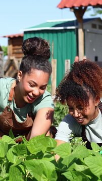 Mother and daughter watering plants together in their vegetable garden