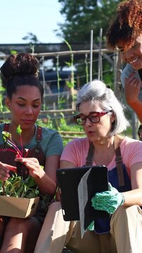 Multiethnic group of farmers using a tablet in a vegetable garden