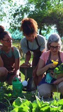 Diverse group of people learning gardening together